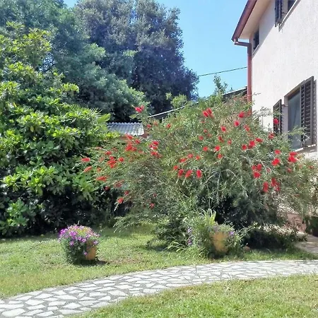 Apartmán Apartman Dora