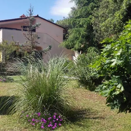 Apartman Dora