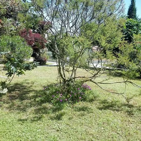 Apartman Dora